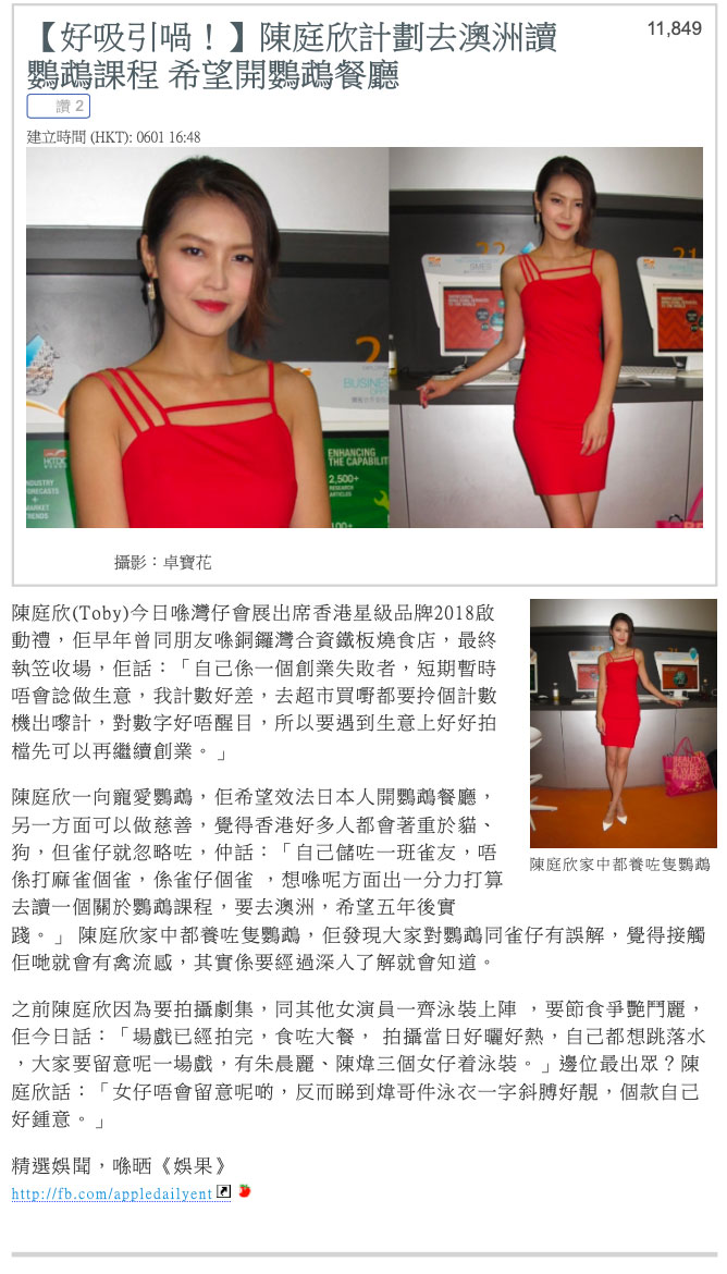 pic03.jpg (172 KB)